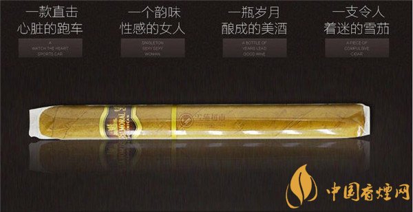 金堡垒雪茄(金堡垒宾纳第)价格表图 金堡垒雪茄宾纳第多少钱