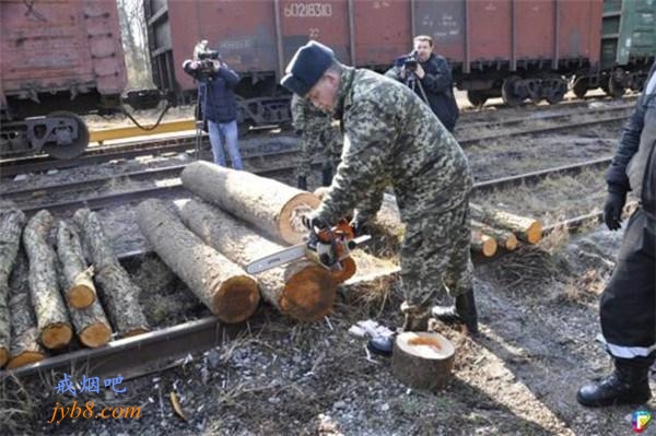 空心木材走私香烟 乌克兰警察用了电锯