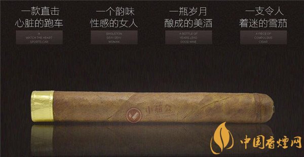 大卫杜夫雪茄(大卫杜夫金装名士)怎么样 大卫杜夫金装名士好抽吗