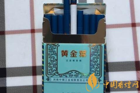 黄金叶(悦尚)图片